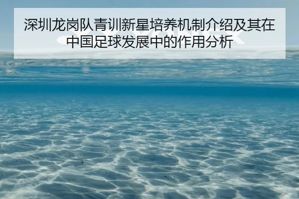 shen-zhen-long-gang-dui-qing-xun-xin-xing-pei-yang-ji-zhi-jie-shao-ji-qi-zai-zhong-guo-zu-qiu-fa-zhan-zhong-de-zuo-yong-2-480.jpg