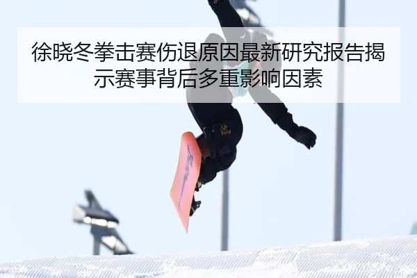 徐晓冬拳击赛伤退原因最新研究报告揭示赛事背后多重影响因素